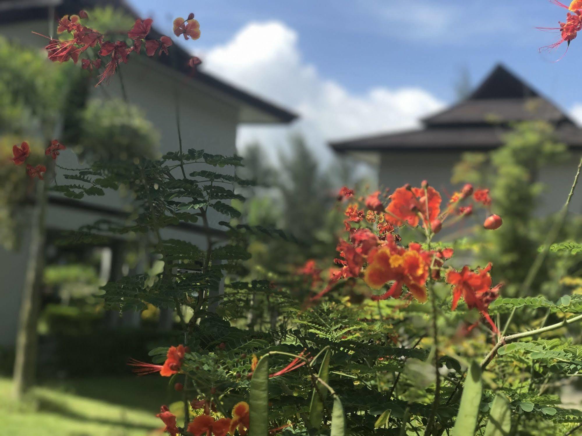 The Hip Resort @ Khao Lak Bang Sak Dış mekan fotoğraf